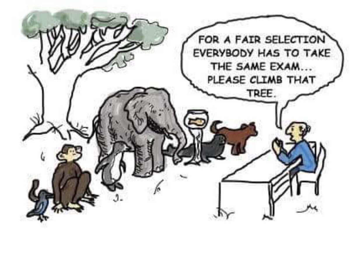 Judging a fish by its ability to climb a tree